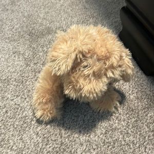 Gund Dog Plush Nayla Cockapoo Stuffed Animal Tan Puppy Toy Designer Pup